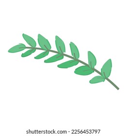 Beautiful spring tree branch on white background