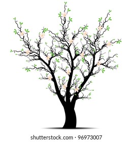 Hermoso árbol primaveral aislado en fondo blanco