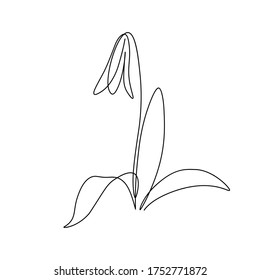 Beautiful spring trout lily flower in continuous line art drawing style. Minimalist black linear sketch isolated on white background. Vector illustration