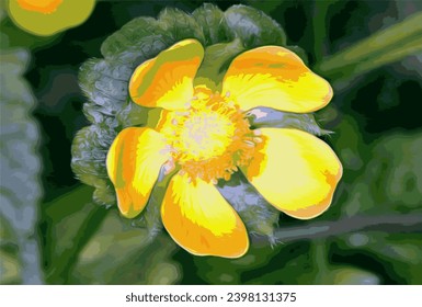 Beautiful spring yellow flower in the grass