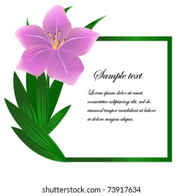 Beautiful square lily flower background. Also available as jpeg.