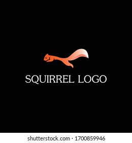 beautiful squirrel logo design vector