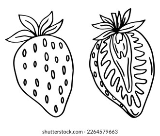 Beautiful srawberry whole and slice on isolated white background.