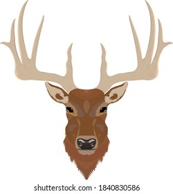 Beautiful stag face drawing, Beautiful animal arts, save animals