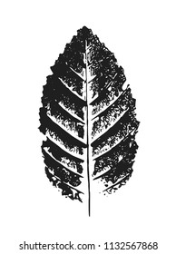 Beautiful Stamp of Leaf