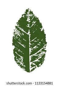 Beautiful Stamp of Leaf