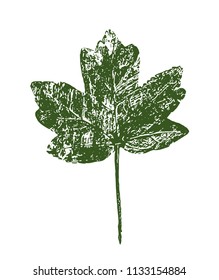 Beautiful Stamp of Leaf