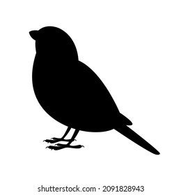 Beautiful standing little bird black silhouette icon vector. Sparrow black silhouette vector isolated on a white background. Sparrow bird icon