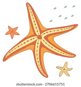 A beautiful star fresh fish.