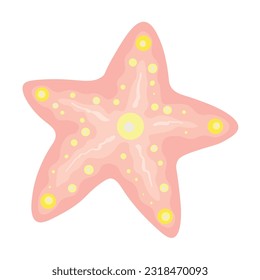 Beautiful starfish on white background