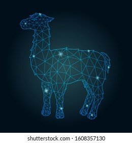 Beautiful starry low poly illustration with shiny lama silhouette on the dark background