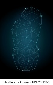 Hermosa ilustración estrellada baja de poli con cactus estilizados iluminados de azul sobre el fondo oscuro