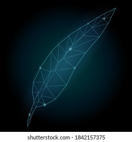 Beautiful starry low poly illustration with shiny blue feather on the dark background