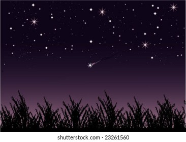 Beautiful starry night with falling star