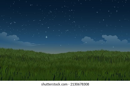 Beautiful starry night in grassland