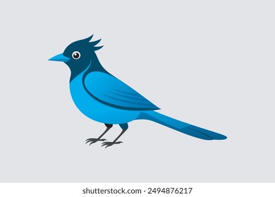 Beautiful Steller's Jay bird vector artwork