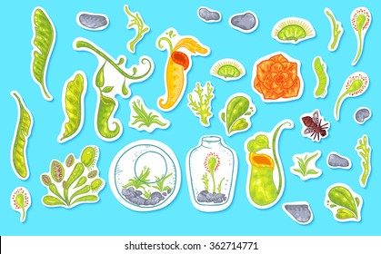  Beautiful sticker flowers and plants on blue background. Corpse lily. Sticker set with larva, sundew, carnivorous plants.