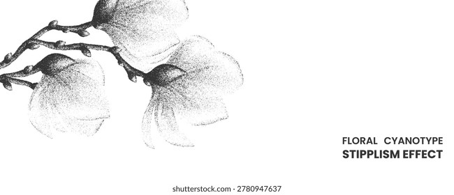A beautiful stipplism effect illustration featuring delicate magnolia flowers, created with a dotwork technique, isolated on a clean white background.