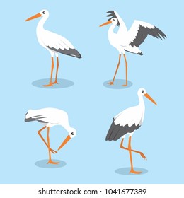 Beautiful Stork Bird Vector Illustration