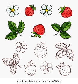 beautiful strawberries composition isolated on white background