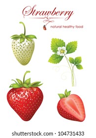 beautiful strawberries. vector illustration of a realistic