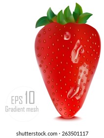beautiful strawberries. vector illustration of a realistic. done gradient mesh. eps 10