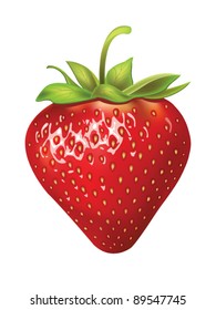 beautiful strawberries. vector illustration of a realistic