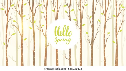 Beautiful and stylish background with forest tall trees and place for text. Vector illustration