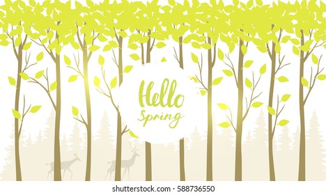 Beautiful and stylish background with forest tall trees and place for text. Vector illustration