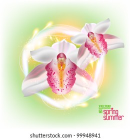 beautiful stylish digital floral graphic design