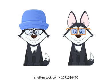 Beautiful stylish dogs with emotions of a smile in the expression of face, with colorful sun-protective and optical glasses with a color frame, with cap on the head, cartoon face. Vector illustration.