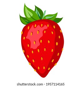 Beautiful stylish isolated strawberry illustration.