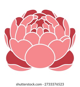 A beautiful stylized pink and red peony flower vector, featuring layered petals with elegant white outlines.