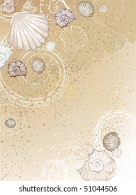beautiful stylized sea shells on the brown sand.