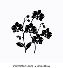 A beautiful, stylized silhouette of an orchid plant with several blossoms.
