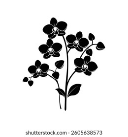 A beautiful, stylized silhouette of an orchid plant with several blossoms.