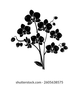 A beautiful, stylized silhouette of an orchid plant with several blossoms.