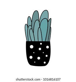 Beautiful succulent in black pot with dots cartoon style vector illustration
