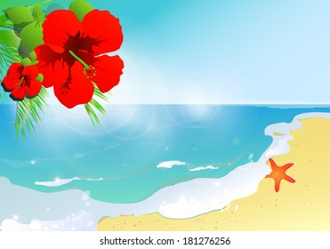 beautiful summer