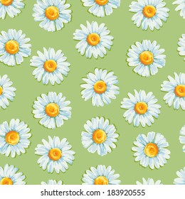Beautiful  summer background with daisies flowers. Floral seamless pattern. Vector illustration.