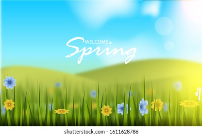 Beautiful summer background with green grass, flowers, on blurred effect. Vector design for use element spring theme, wallpaper, cover, banner