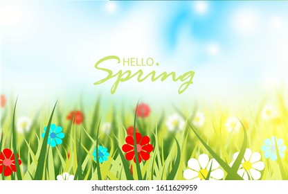 Beautiful summer background with green grass, flowers, on blurred effect. Vector design for use element spring theme, wallpaper, cover, banner