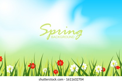 Beautiful summer background with green grass, flowers. Realistic vector design for use element spring theme, wallpaper, cover, banner