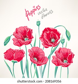 beautiful summer background with red poppies