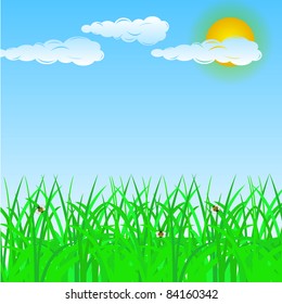 beautiful summer background for your design