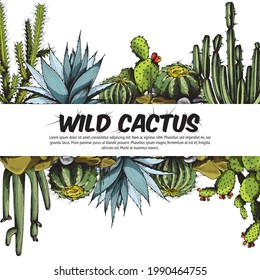 Beautiful summer banner with different types of cactus. Floral desert wild plants, exotic succulents with flowers. Colorful vector sketch illustration