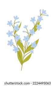 Beautiful summer blue wildflowers flat icon Bellflower