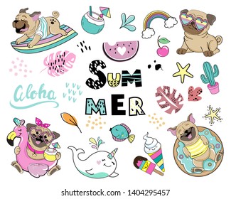 Beautiful summer dogs pugs collection and summer items on a white background