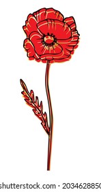 Beautiful summer flowers poppies on a white background. Isolated object-style abstract. Fine drawing of Botanical  handmade. Elegant golden unique vector illustration.