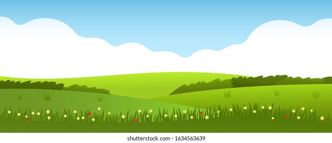 Beautiful summer landscape of fields and lawns with green grass and wildflowers. Blue sky with clouds. vector illustration